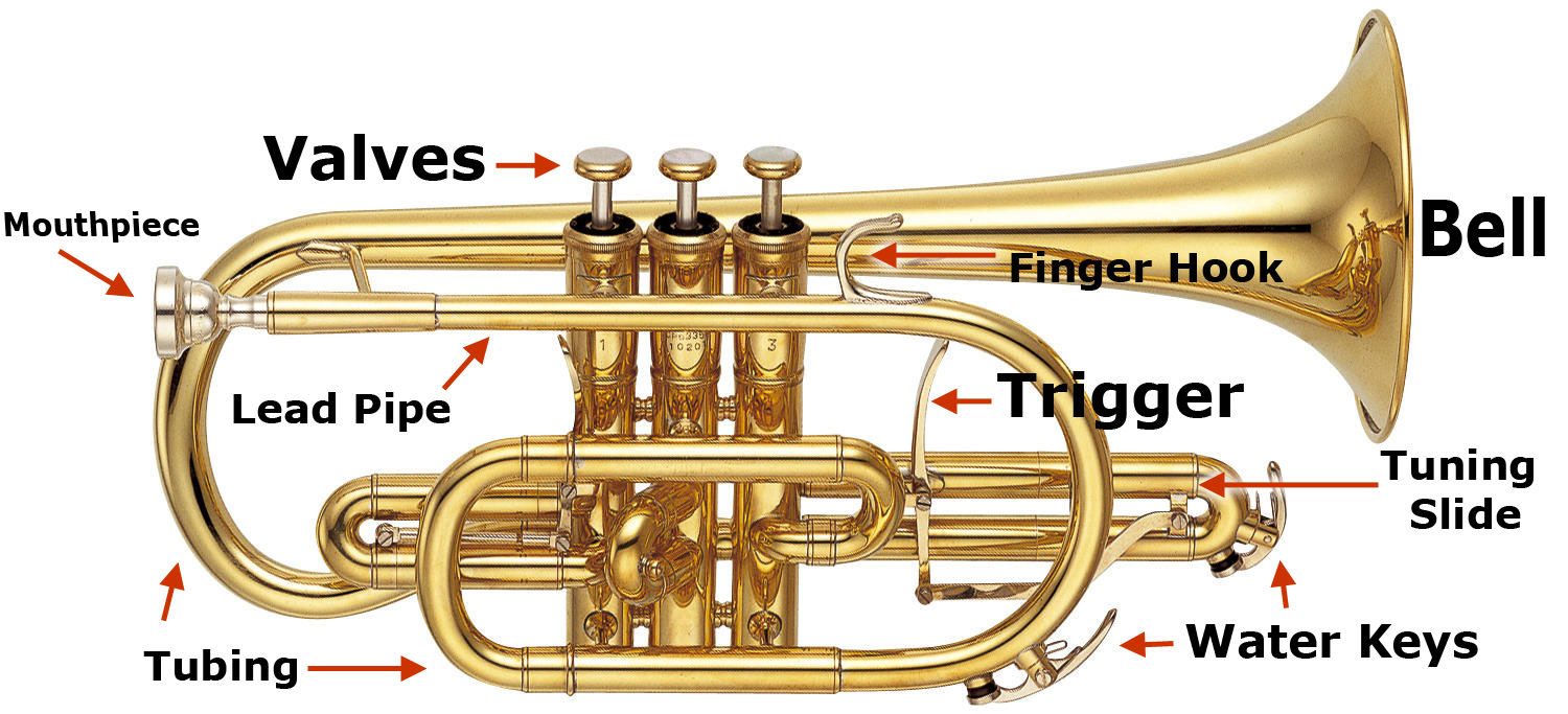 brass cornet instruments instrument musical french anatomy trumpet diagram terms horns band horn bell common cornets trumpets glossary expensive donohoe